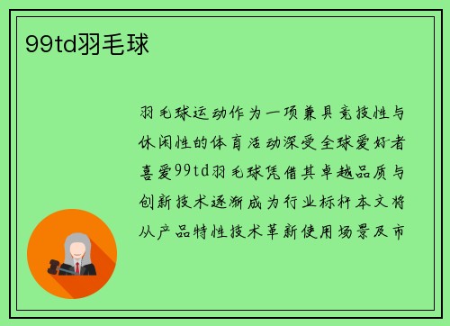 99td羽毛球