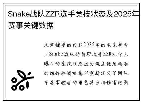 Snake战队ZZR选手竞技状态及2025年赛事关键数据