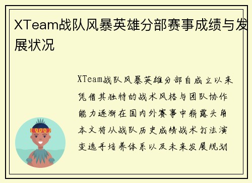 XTeam战队风暴英雄分部赛事成绩与发展状况