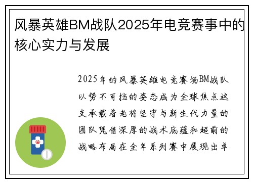 风暴英雄BM战队2025年电竞赛事中的核心实力与发展